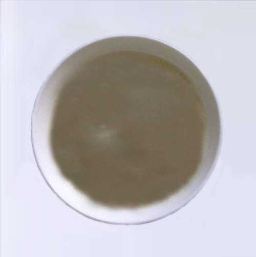 掌握好這5點(diǎn),包子不發(fā)硬不塌陷!